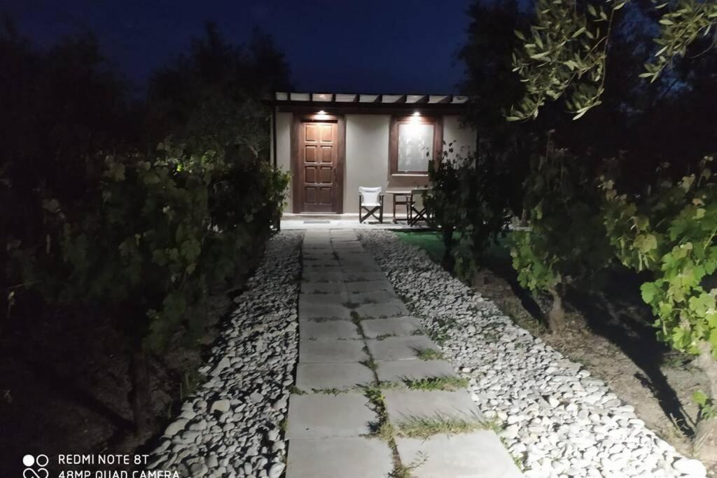 Raisin House Villa Koukounariá Exteriör bild
